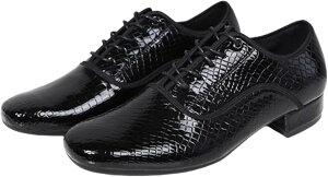 Ќ_X V[Y _X V[Y Y e [XAbv 傫TCY x  _ q[ ubNq[ h ₷ ʋC ϋv jp e_X Kp