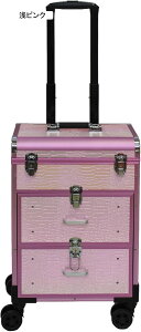 vpCN{bNX LX^[t L[P[X v e t ƖpσP[X A~ nht h  CN[ ϓ et o sp c[ t