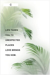 肪炷V[g A ډB O猩Ȃ Xe Ռ O΍ vCoV[ی S  fMV[g OK {I HI  Q  GKg  M