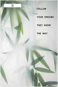 肪炷V[g A ډB O猩Ȃ Xe Ռ O΍ vCoV[ی S  fMV[g OK {I HI  Q  GKg  M