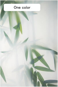 肪炷V[g A ډB O猩Ȃ Xe Ռ O΍ vCoV[ی S  fMV[g OK {I HI  Q  GKg  M