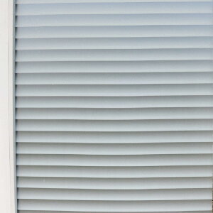 ptB uChl fMV[g F Vv KX O猩Ȃ ͂ œ\ ډBV[g OJbg Ռ ėp\ Ih~ x_ C C