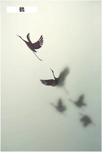 ډBtB Aj} KXV[g hƃtB  œ\ tB Ód\ ėp\ ΍ՔM ΍ OJbg Ȃ ՂȂ ݑ iX ԓK