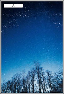 ډBtB  ptB iF Ȃ vCoV[ی O猩Ȃ vCoV[ی S \ KXɓ\V[g  oX[ xbh[