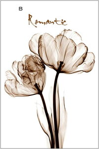 肪炷ډBV[g ptB ThA[g UVJbg fM KX Ռ œ\ ėp\  ΍ jДUh~  JbgȒP x_ xbh[ ^X 