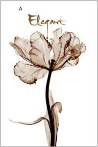 肪炷ډBV[g ptB ThA[g UVJbg fM KX Ռ œ\ ėp\  ΍ jДUh~  JbgȒP x_ xbh[ ^X 