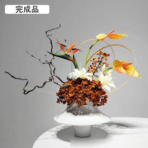  tFCNt[ } AXE t[AW CeA ԕrt  a { ϑސF fBXvCp fXNgbv  rO Bep Vz p[eB