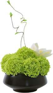 tFCNt[ }  t[AW CeA LEw  lHϗtA ԕrt I X JtF iX ϑސF fXNgbv  rO Vz p[eB[ 