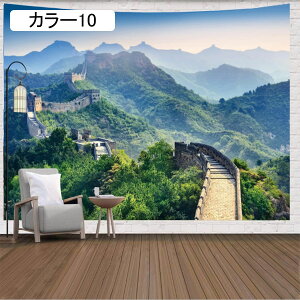 R ^yXg[ J[ O\ EH[XebJ[ Q̑ GXjbN 220*350cm |GXe Ԏd؂ J[e ₨X̑ k AEghA Ǌ| i 