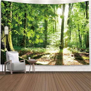 MѐA^yXg[ Ri [΂̔MщJ Ǌ| J[  Ǐ CeA EH[A[g @\ z|X^[  X G Mtg O[  150*230cm