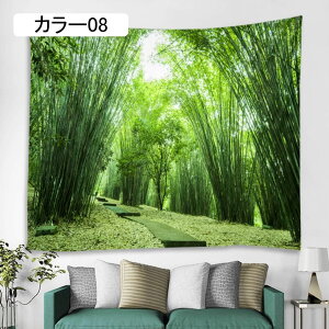 ^yXg[ Ǌ| i t[  wi Ԏd؂J[e  t@ubN|X^[ J[ WO z|X^[ t@ubNpi 230*180cm CeAG xbh[