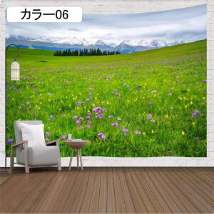 CeA ^yXg[ z   C C  J[ iF ʐ^ R t[ wi 220*350cm ܂G   iF |X^[ IC݉ wiz 唻 CX^f