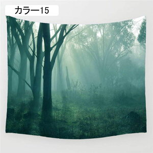 ^yXg[ 150x170cm WO X    [ A R iF i |X^[  z|X^[ rO[ xbh[ J[ TvCY NVbN wi C