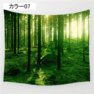 ^yXg[ 150x170cm WO X    [ A R iF i |X^[  z|X^[ rO[ xbh[ J[ TvCY NVbN wi C