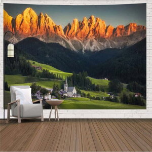 CeA ^yXg[   X  i 唻 傫   220*350cm  t  G iF J[ |X^[ IC݉ wiz t@ubN|X^[ 