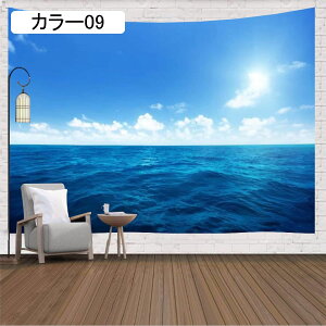 i ^yXg[ EH[A[g Q̑ J[ 150*200cm GXjbN |GXe Ԏd؂ J[e ₨X̑ k  AEghA Ǌ| i 