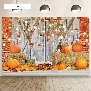  t ^yXg[ i^yXg[ ^Cv  150*100 ǉ rO  w }V Q Vj gt _ Ri H̖ Ǌ| cɕ CeA t@u