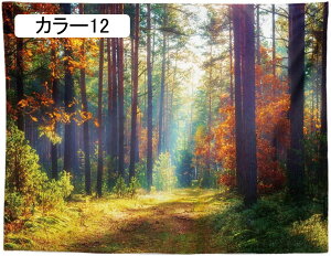 ^yXg[ Ǌ| Ri  wiz JGf̗t J[ Ԏd؂J[e  CeA t@ubNpi 150*100 Ji ₨X̑ @\Ǐ Vj