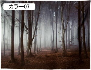 ^yXg[ Ǌ| Ri  wiz JGf̗t J[ Ԏd؂J[e  CeA t@ubNpi 150*100 Ji ₨X̑ @\Ǐ Vj