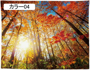 ^yXg[ Ǌ| Ri  wiz JGf̗t J[ Ԏd؂J[e  CeA t@ubNpi 150*100 Ji ₨X̑ @\Ǐ Vj