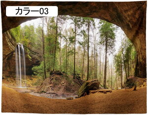 ^yXg[ Ǌ| Ri  wiz JGf̗t J[ Ԏd؂J[e  CeA t@ubNpi 150*100 Ji ₨X̑ @\Ǐ Vj