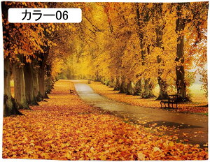 gt H H̖ ^yXg[ 200*150 X̌ Ǌ|^yXg[ 唻 ݂  |X^[ Ԏd؂ _ J[  H̗t CeA Q J[e Ǌ| i^yXg