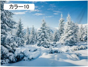  ^yXg[ iF X J[ z|X^[ Ǌ|^yXg[  c[ rO[ xbh[ EH[A[g z[fR[V 130*150 CeAG wiz 