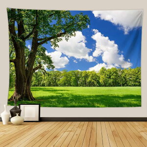 ^yXg[ Ǌ| i 댶R ؘR̐X Bep wi Ԏd؂J[e 180*230cm  CeAG  |X^[ @\Ǐ菬 ₨X̑ Vj