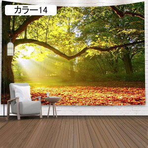 ^yXg[ Ǌ| ̐E ~ L @\Ǌ| ѕz  J[ Q̑ Ռ ډB   | J[e Vj 蕨 z|X^[ 唻 ͗lւ CeA xb