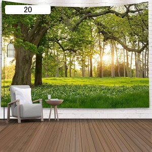 ^yXg[ Ǌ| i 200*150cm 댶R ؘR̐X Bep wi Ԏd؂J[e  CeAG  |X^[ @\Ǐ菬 ₨X̑ Vj