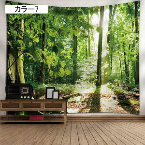 xm Ri ^yXg[ Ǌ| a ̖ R   ̏o 180*300cm i CeA z |X^[ @\Ǌ| wiz J[ ̏ ǏQ 