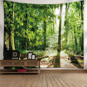 a fUC ^yXg[ xmR i @\  Ǐ  CeA ԂƎR uPbg IV  v[g @\ z  Q HX Ǌ| Vzj v[