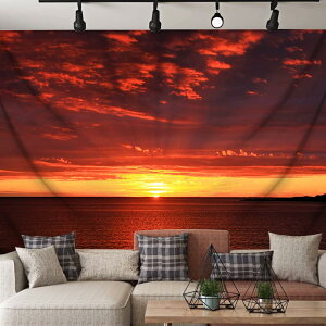 ^yXg[ 350*270cm Ǌ| i _ [Ă iF RBep wi Ԏd؂J[e  CeAG  |X^[ @\Ǐ ₨X̑ Vjv