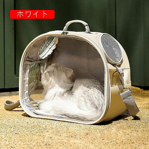 ybgobO V_[obO obNpbN ybgobO L[obO JvZ^ Lp p ybgpi ^ ^ g~O h ʉ@ p  y | zCg 38*23