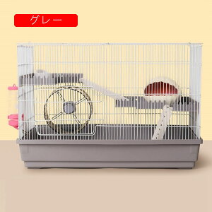 nX^[P[W P[W |^Cv nX^[nEX ^ g[ P[X ܂킵 {g HȂǊ܂߂ |₷ ^т₷ ʋC g Eoɂ  