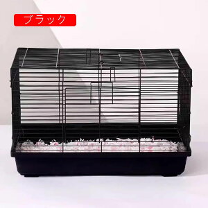 nX^[P[W P[W |^Cv nX^[nEX ^ g[ P[X ܂킵 {g HȂǊ܂߂ |₷ ^т₷ ʋC gȒP Eoɂ 