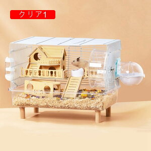 nX^[P[W NA P[W 傫 P[W ʋC  KP[W g[fUC ؋r}bgt LX^Cv ϋv gȒP bgP[W  |₷ 2