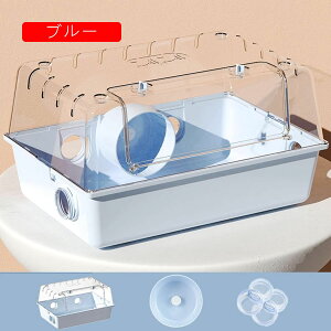 nX^[P[W AN nX^[nEX ^TCY P[W P[W NA Eoɂ ^TCY P[W K ֗ ϋv ʂ悢 g[fUC S[fn