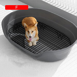 gC ^ gCg[ ^ ^ q XeXJo[ ybggC hbOg[ pgC XeXbV g[jOgC Ə𐴌ɕۂ ^ |ȒP X