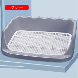 pgC ybggC pgCg[ g[jOg[ hbOg[p gCg[jO }[LO|[ bVObh Uh~ pgCg[ 