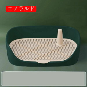  gC ybggC pgCg[ ^ ^ gC hbOg[p gCg[jO  bV t }[LO Rɂ h~ǃv[g |