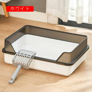 LgC I[v^Cv O\ |ȒP LpgC{ e LXTCY юUh~  􂦂 lRgC VXegC XRbvt ϋv  Lpi 