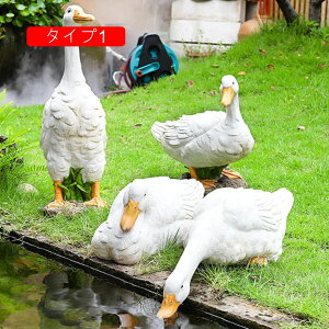 K[fjO I[ig G CeA IuWF  u    Ђ _bN̒u Aq kG ObY G AqG _ ɒu ^Cv Wp 傫 