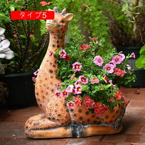 u O I[ig ^Cv3 K[fjOu ^ T{e|bg ȃCeA  Jg[ t[|bg A F 傫TCY ApAؔ 