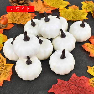 ڂ u lHJ{` ~jJ{`nEB H̑ Ӎ p[eB[ X Cxg DIY Be Halloween p[eB[ z[fR[Vp (IW)