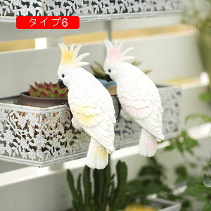 [Ăɂ񂮒u  u 񂬂̂̒u | ʐ^ ̑ K[fjOu CR  A AeB[N Aj}IuWF CeA H|i  i A