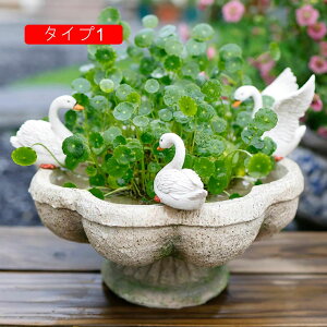 A  |bg z[K[f  e[u  AeB[N t[|bg CeA F A    p A k͔| ^Cv1 v^[ ۈ牀 T{e|bg k