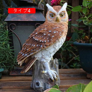 u ӂ낤 ގ K[fI[ig tNE A F Vzj ^Cv i A[g K[fu fXNgbv tBMA fBXvC tNEuK[fjO