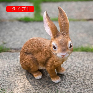 ̒u ETM u K[fjOG u GWF  YȒu 傫  u   Aj} u 킢  F u v[g 蕨 ̎G K[