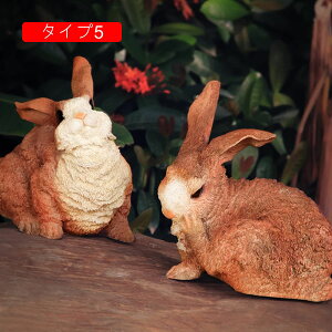 ̒u ETM u K[fjOG u GWF  YȒu 傫  u   Aj} u 킢  F u v[g 蕨 ̎G K[